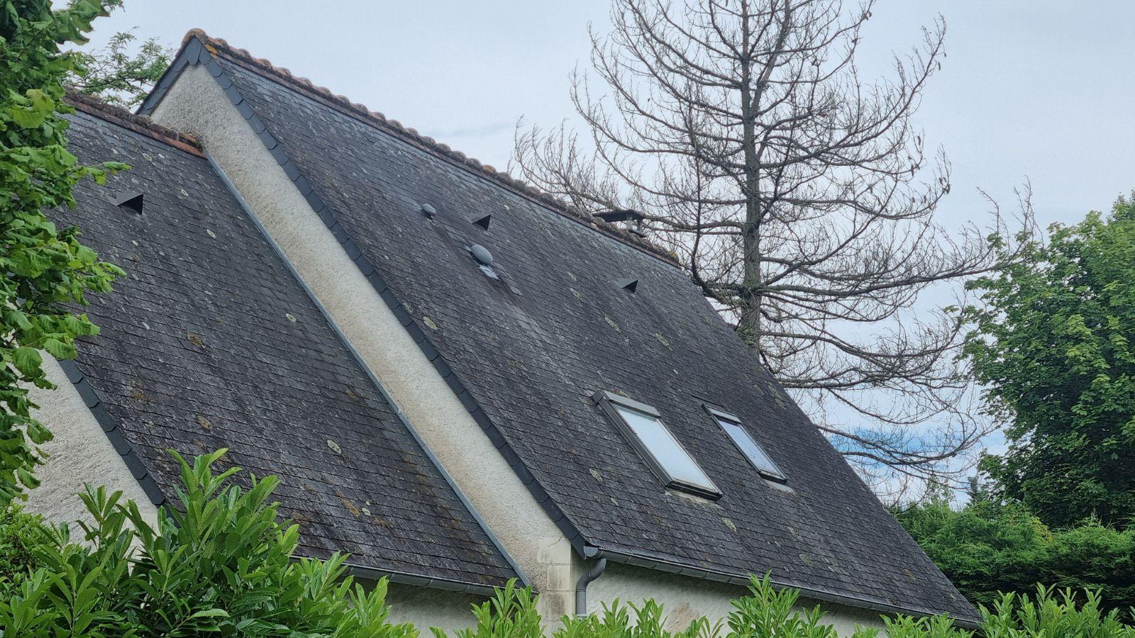 Toiture en ardoise envahie par la mousse avant nettoyage